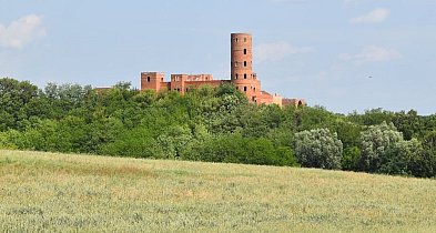 Budują zamek pod Sandomierzem. Wśród pól powstaje...[FOTO][WIDEO]-226299