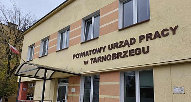 Pracownicy Urzędu Pracy w Tarnobrzegu będą krócej pracować za te same pieniądze-226386
