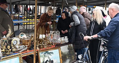 Październikowy Pchli Targ w Tarnobrzegu przyciągnął ciekawymi ofertami [ZDJĘCIA]-226770