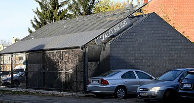 Tarnobrzeg topi pieniądze w Szalecie Miejskim. Dopłaca tu więcej niż...-226946