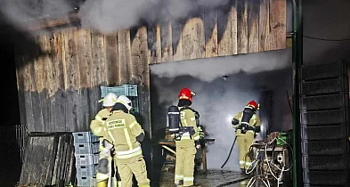 Pożar suszarni  śliwek w powiecie staszowskim [ZDJĘCIA]-227351