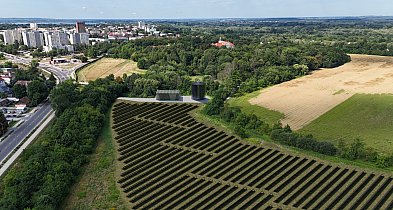 Nie będzie farmy solarnej na skarpie w sąsiedztwie Parku Dzikowskiego-227504