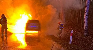 Hyundai stanął w ogniu na drodze wojewódzkiej pod Staszowem-228651