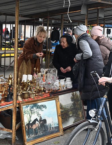 Październikowy Pchli Targ w Tarnobrzegu przyciągnął ciekawymi ofertami [ZDJĘCIA]-226770
