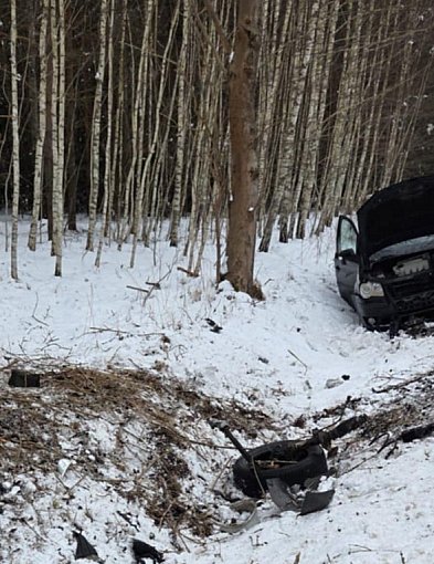 Volkswagen uderzył w drzewo. Do szpitala trafiły 9-latka i jej mama [ZDJĘCIA]