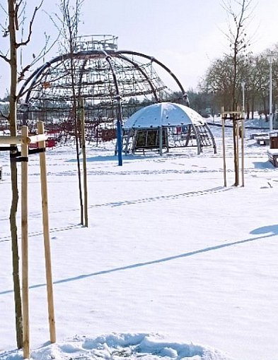 Niebywały akt wandalizmu. Zniszczono Aleję 500-lecia Staszowa! [ZDJĘCIA]