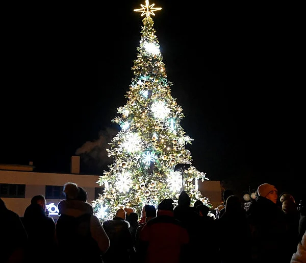 Tarnobrzescy radni zdecydowali, że w tym roku będą święta z miejską choinką-226943