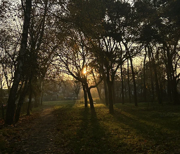 Nadchodzi najkrótszy dzień w 2025 roku. Sprawdź, kiedy przypadnie-228809