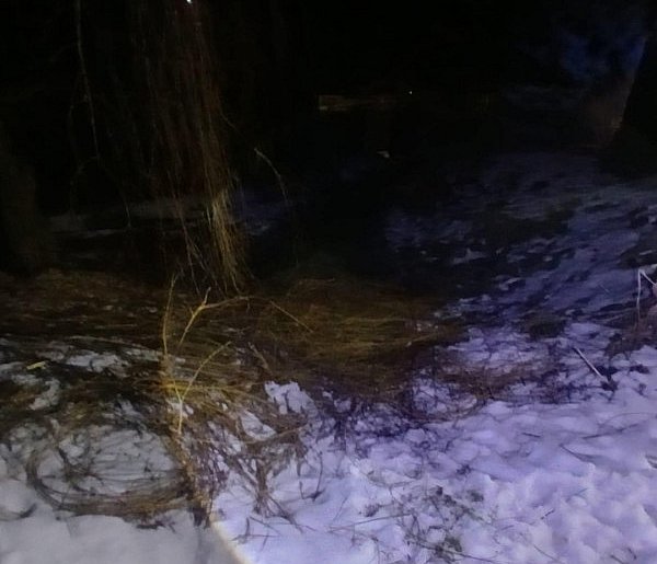 Tragedia w gminie Lipnik. Nie żyje 82-letnia kobieta [ZDJĘCIA]