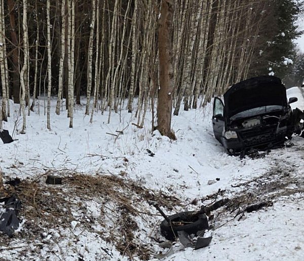 Volkswagen uderzył w drzewo. Do szpitala trafiły 9-latka i jej mama [ZDJĘCIA]