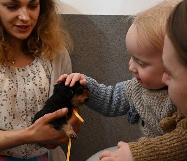 Nowe domy i pełne miski. Mieszkańcy Poręb Dębskich wsparli nowodębskie przytulisko