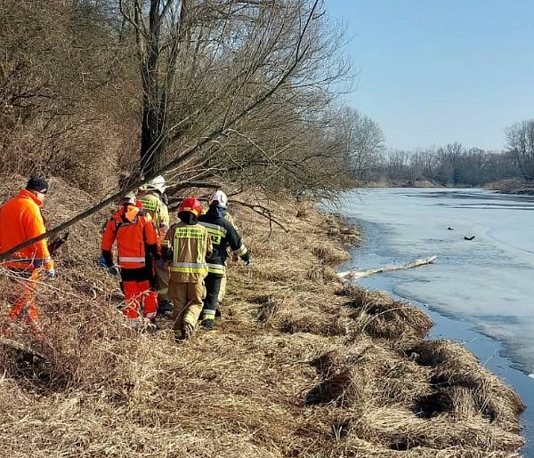 Motocyklista znalazł przy starorzeczu Wisły poważnie rannego mężczyznę [ZDJĘCIA]