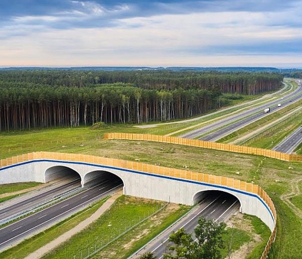 14 firm chce projektować ekspresową S74 między Opatowem a Niskiem