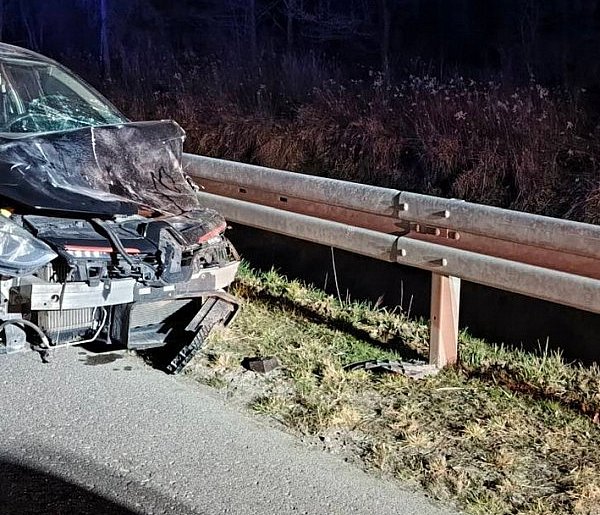 W Alfredówce osobowy Renault zderzył się z łanią