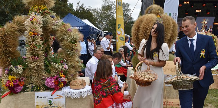 Dożynki powiatowe i piknik zbożowy w Sandomierzu-225184