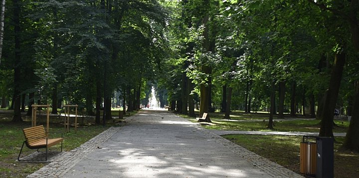 Ławki Mistrzów Kryminału w sandomierskim parku  -225392