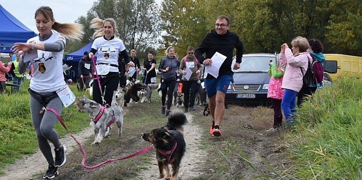 Wraca Sandomierski Dogtrekking Wiśniowy!-225836