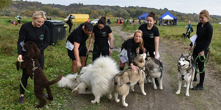  Sandomierski Dogtrekking Wiśniowy już niebawem  -226014