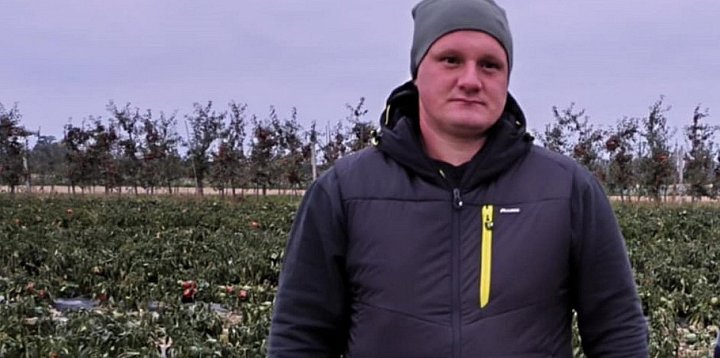 Rolnik z gm. Dwikozy rozdaje za darmo paprykę-226075