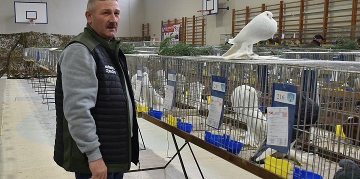 Skrzydlate piękności i króliki na wystawie-228099