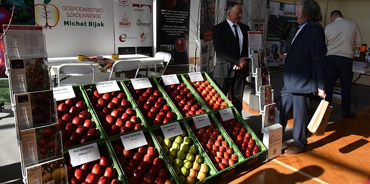 O sadownictwie w Samborcu [ZDJĘCIA]