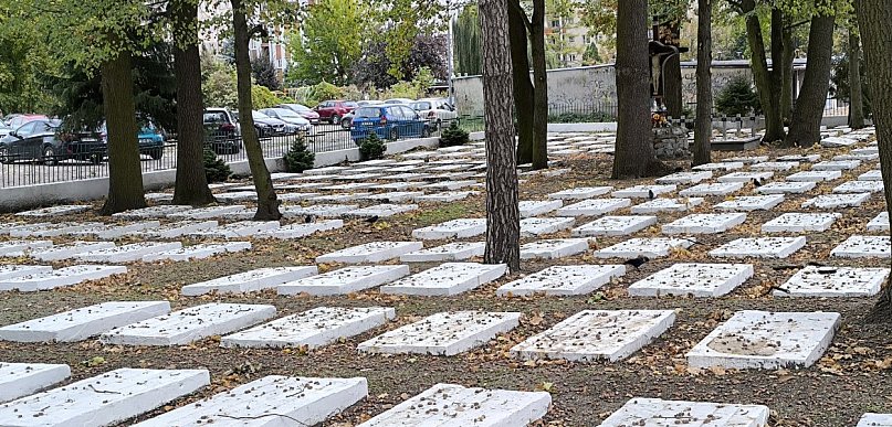 Są nowe środki na nekropolię w Tarnobrzegu