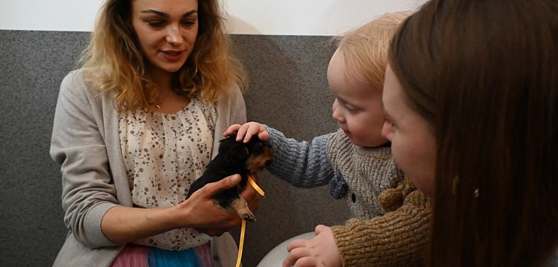 Nowe domy i pełne miski. Mieszkańcy Poręb Dębskich wsparli nowodębskie przytulisko