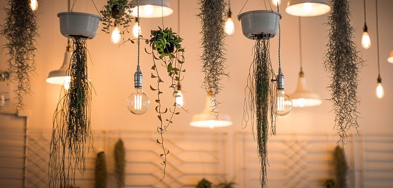 Precyzyjne światło w nowoczesnym wnętrzu – jak punktowe źródła zmieniają funkcjona