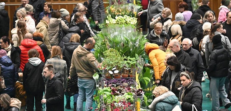 Już niebawem w Tarnobrzegu odbędzie się Festiwal Roślin