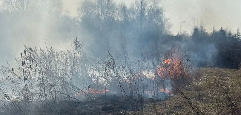 Zatrzymano 57-latka, który podpalił trawy
