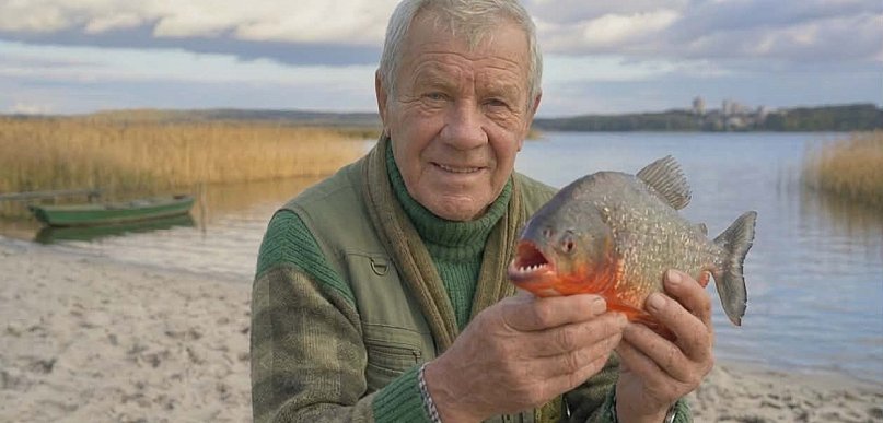 Szok! Wędkarz złowił piranię w Jeziorze Tarnobrzeskim!