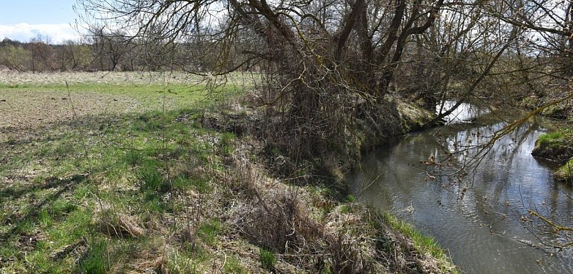 Wylali ścieki na łąkę przy rzece [Czytaj w gazecie]