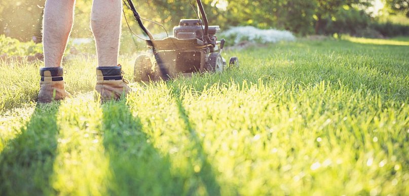 Kosiarka na dużą działkę. Na jakie parametry techniczne postawić przed pierwszym k