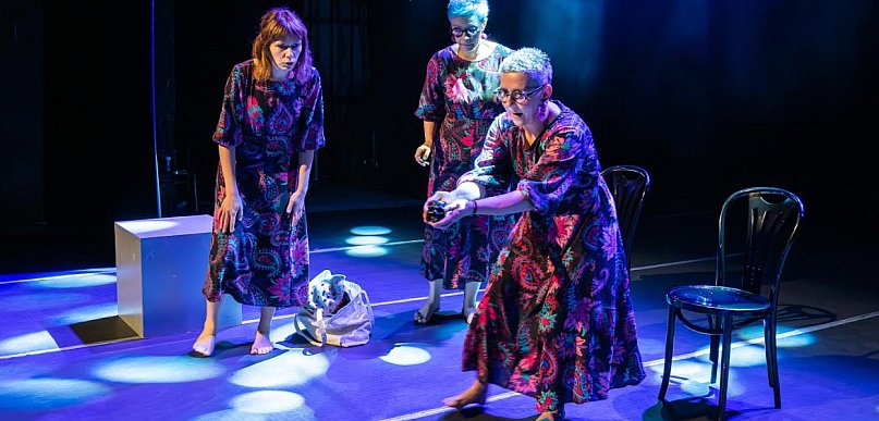 „Marzycielka…” powraca na scenę Tarnobrzeskiego Domu Kultury