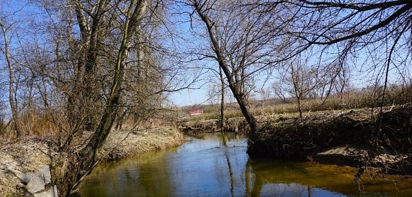 Ekologiczna akcja w Koprzywnicy