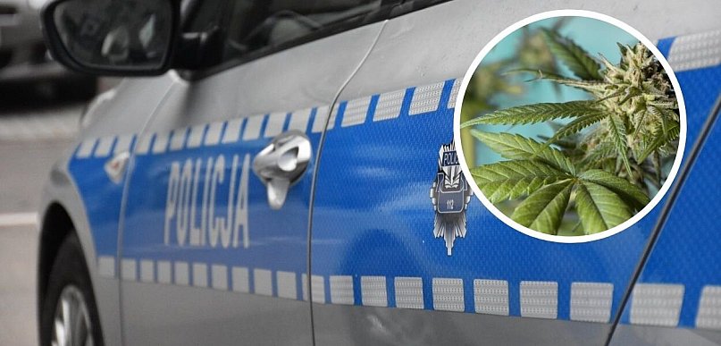 15-latek zatrzymany z narkotykami. Marihuanę i haszysz znaleziono także w jego dom