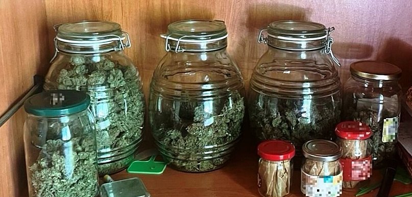Domowa uprawa narkotyków zlikwidowana