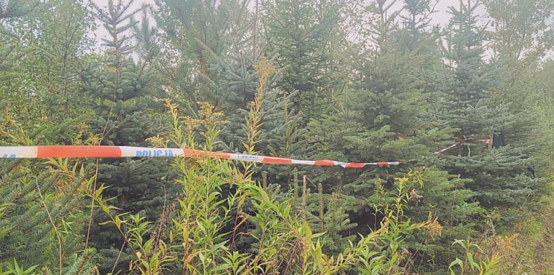 Józef K. prawdopodobnie popełnił samobójstwo niedługo po zaatakowaniu żony - 226202