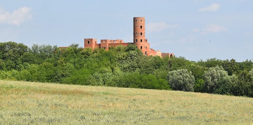 Budują zamek pod Sandomierzem. Wśród pól powstaje...[FOTO][WIDEO] - 226299