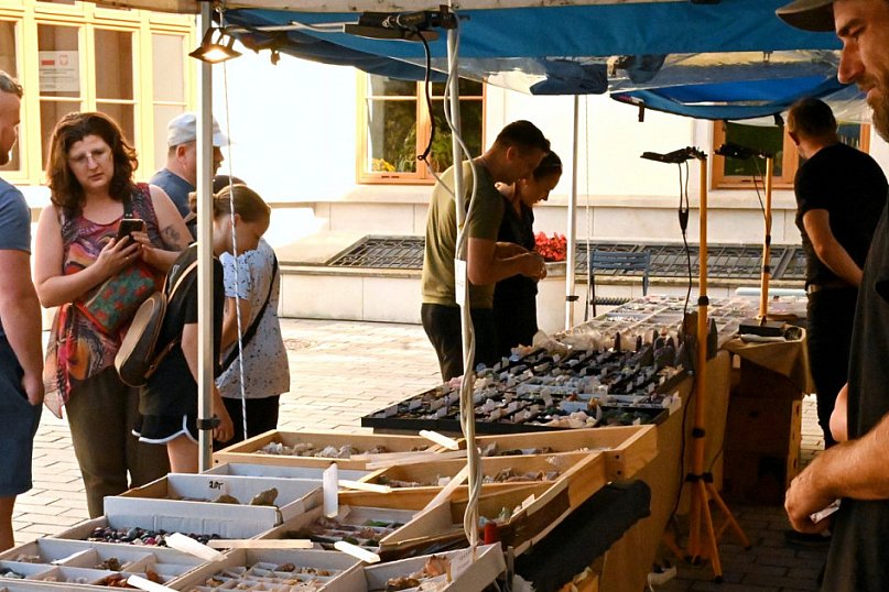 Giełda minerałów i skamieniałości w Tarnobrzegu