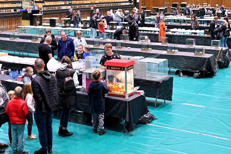 Targi egzotycznych zwierząt w Tarnobrzegu