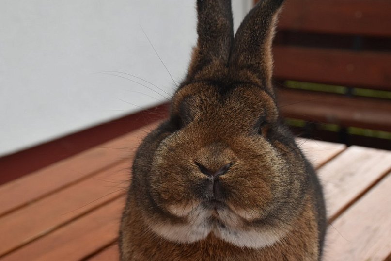 Sukces Andrzeja Durtki