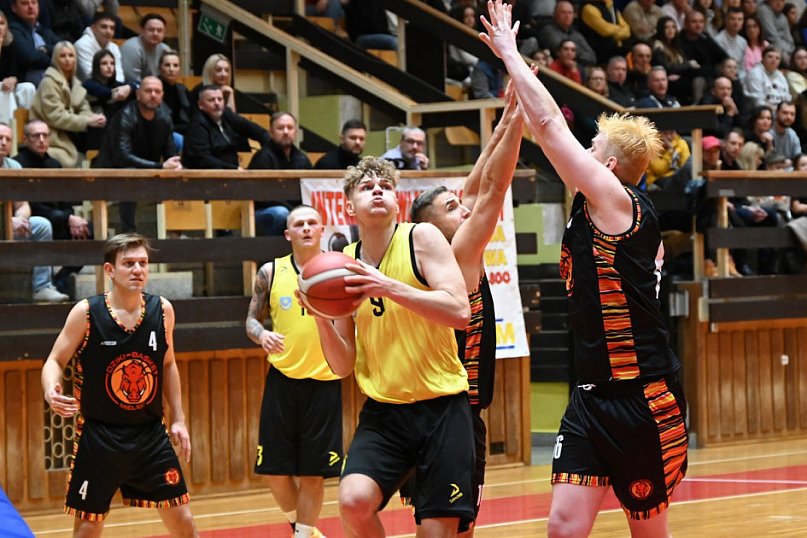 MKKS Siarka Tarnobrzeg - Dziki Basket Mielec