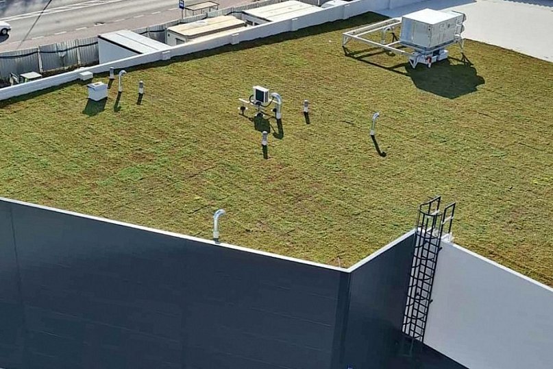 Zielony dach na Pasażu Dominikańskim w Tarnobrzegu