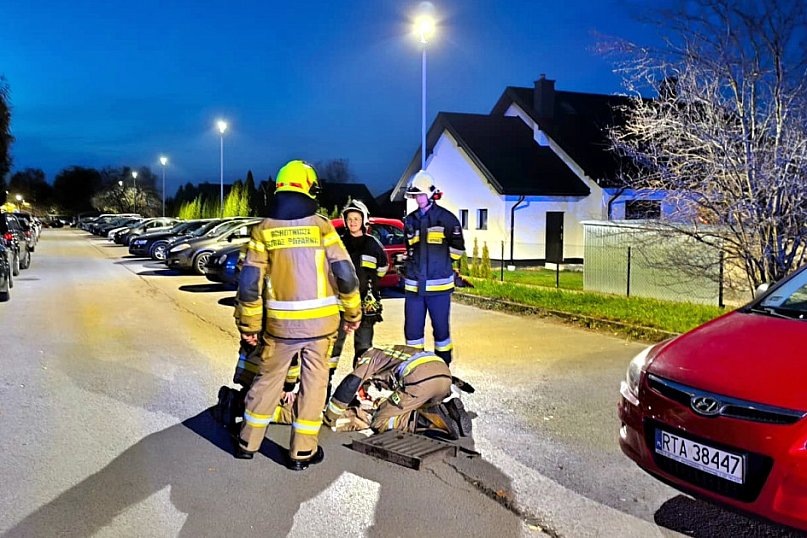 Strażacy z Gorzyc uratowali kota