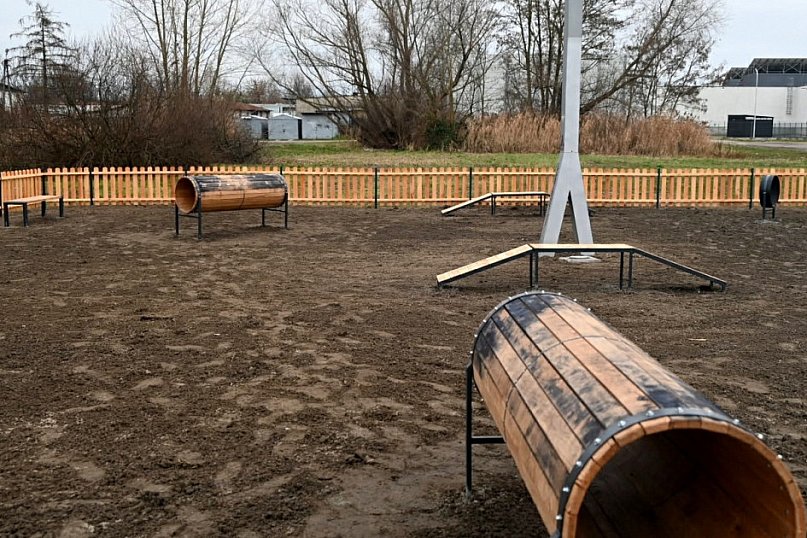 Psi plac zabaw w Tarnobrzegu