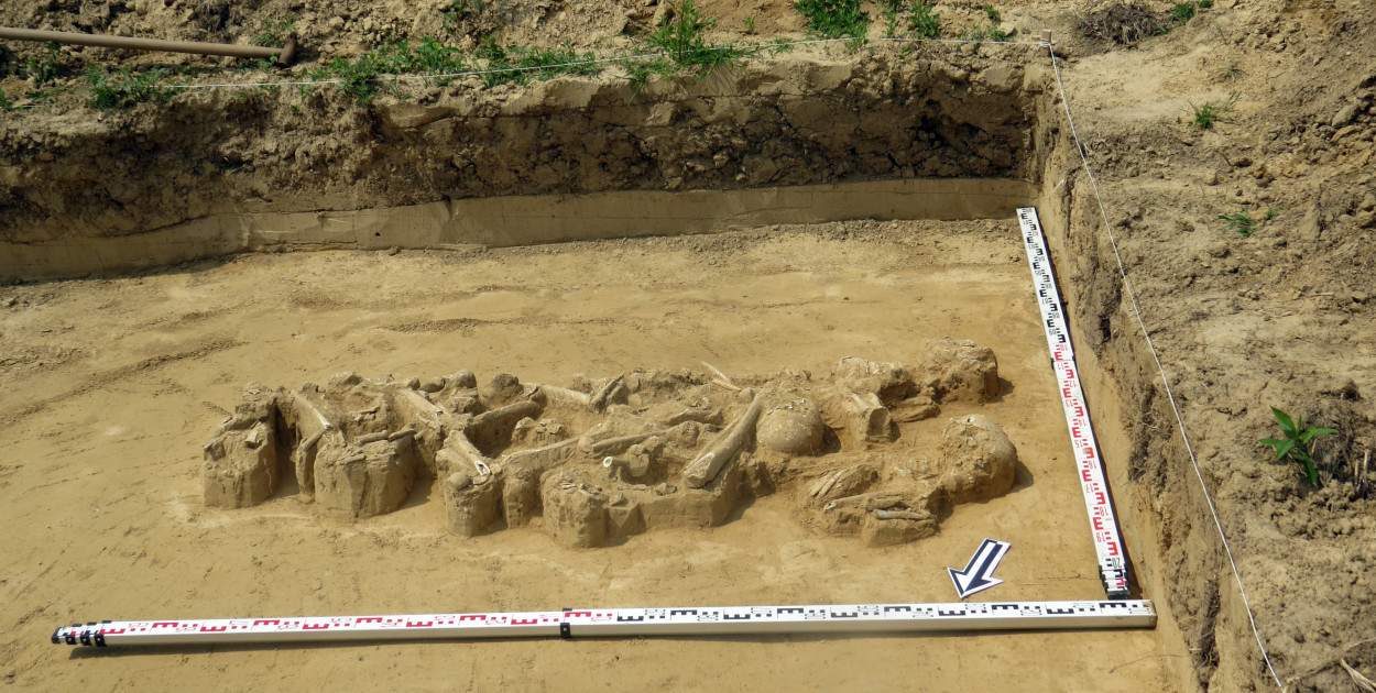 Grób odkryty w Słupczy (fot. Wojciech Rajpold)  