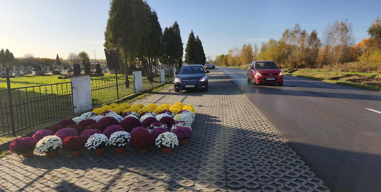 Sprawdź, jak będzie wyglądała organizacja ruchu w okolicach cmentarzy na Wszystkich Świętych w Tarnobrzegu i powiecie tarnobrzeskim.