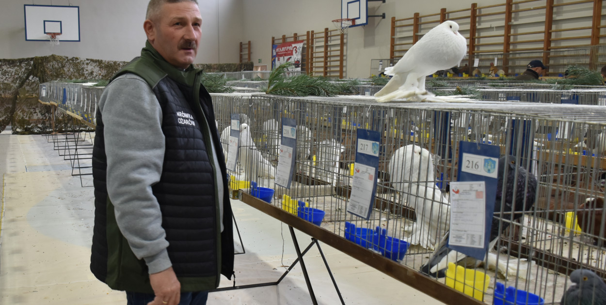 Szymon Żyła, hodowca gołębi, jeden z wystawców.   