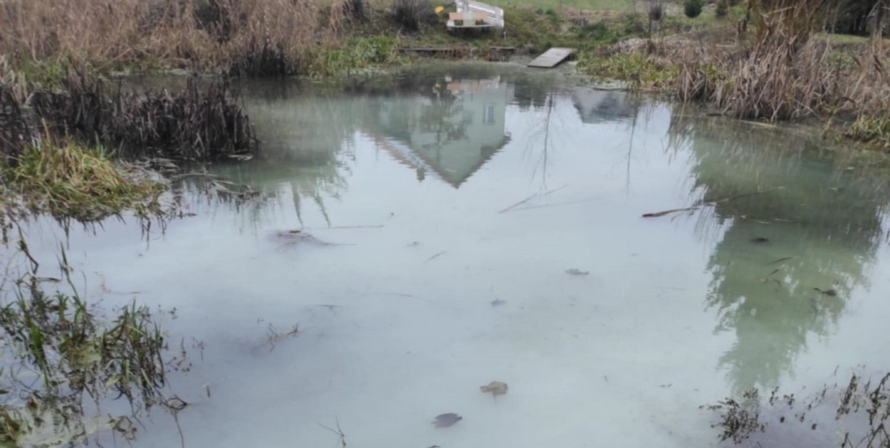 Zanieczyszczona rzeka w gm. Samborzec. Fot. PSP Sandomierz